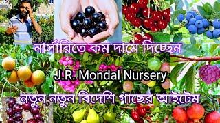 J.R. Mondal Nursery | নতুন নতুন বিদেশি গাছের আইটেম নার্সারিতে কমদামে দিচ্ছেন | যে আর মণ্ডল নার্সারি