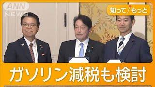 政府の経済対策に「103万円の壁」　引き上げ明記で合意　自公が国民の主張受け入れ【知ってもっと】【グッド！モーニング】(2024年11月21日)