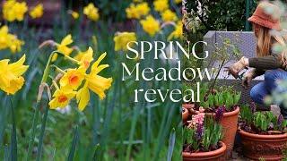 SPRING MEADOW Reveal & GARDEN RESET 🪻️ SPRING GARDEN EP1