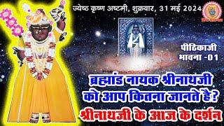 श्रीनाथजी के दुर्लभ दर्शन जो केवल गर्मियों में ही होते है? निकुंज नायक की पीठिकाजी की भावना क्या है?