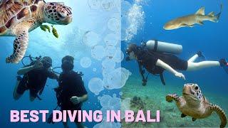 Best Diving in Bali - Nusa Dua Dive Centre | Blue Lagoon.