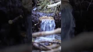 For me, nature is my happy place. I could sit here, listening to the flow of water all day.