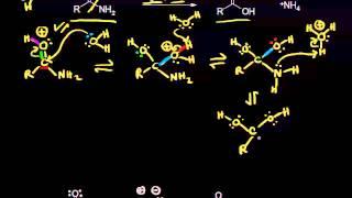 Acid and base-catalyzed hydrolysis of amides | Organic chemistry | Khan Academy