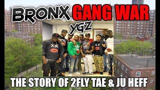 Bronx Gang War - Top Ygz - The Story Of Ju Heff & 2Fly Tay (2021 Reupload)