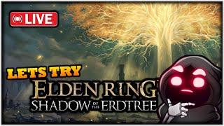 LIVE - Wizard Gaming - Elden Ring DLC - Daily stream # 2236