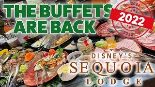 ️ The Buffets are back at "Hunters Grill" Restaurant in Disneyland Paris 2022