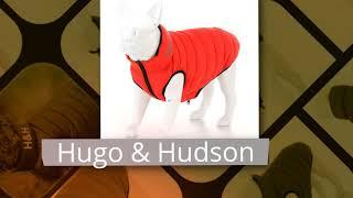 Hugo & Hudson