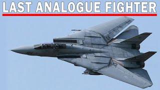 F-14 The Last Analogue Fighter - The Deadly Tomcat