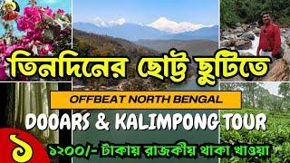 ডুয়ার্স কালিম্পঙ Budget Tour মনে থাকবে বহুদিন.Dooars & Kalimpong Tour Plan.Dooars Tour Plan #doors