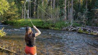 Thousands Drive Past This Stream, and It's Untouched | Trout Fishing Montana