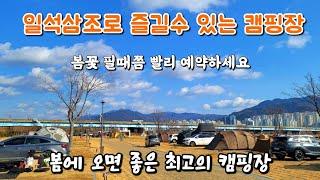 봄에 오면 정말 좋은 오토캠핑장/벚꽃,유채꽃군락지/일석삼조를 누릴수 있는 완벽한 캠핑장/꽃 피기전 빨리 예약하세요