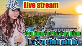 Yieng CEO NGUYỄN PHƯƠNG HẰNG LIVE STREAM TRỰC TIẾP LƯƠN CHÚA LÊN DĨA @doiluthu