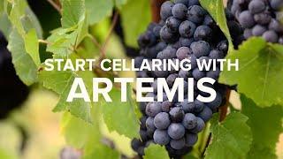 Stag's Leap Wine Cellars - Start your wine journey with ARTEMIS Cabernet Sauvignon