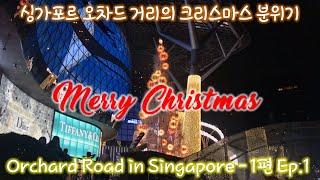 [싱가포르 Singapore] 오차드 거리의 크리스마스 2019 / Orchard Road for Christmas 2019 