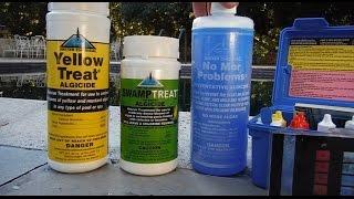 What Causes Algae in a pool & How to Treat and Prevent It