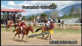 Pacuan kuda GAYO LUES ACEH