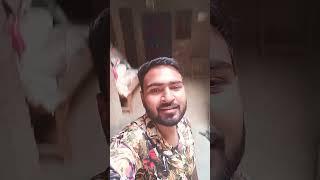 bin Tere Kya Yara song reel by Shivam pal video up