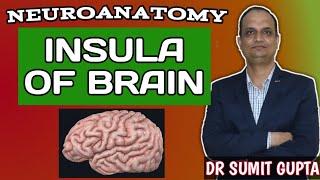 INSULA OF CEREBRUM