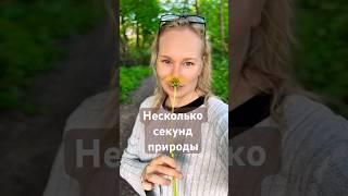 Мы - часть природы, но слишком отдаляемся от нее. А ведь в ней и лекарства, и красота и вдохновение