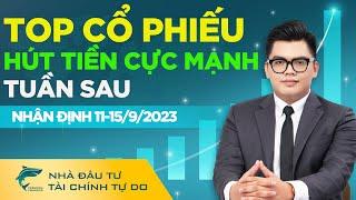 DANH MỤC ĐẦU TƯ: TOP CỔ PHIẾU HÚT TIỀN CỰC MẠNH TUẦN SAU