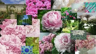 History of gardens, online garden guide, relaxation music, meditation Garten Jardin حدائق 花园 गार्डन