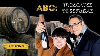 Everything about MOSCATEL DE SETUBAL wine! | Ale Wino Trip