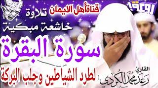 سورة البقرة كاملة مكررة لطرد الشياطين والجن والسحر والحسد وجلب الرزق الشيخ رعد الكردي surat albaqara