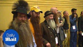 Meet the contestants in the World Beard Championships - Daily Mail