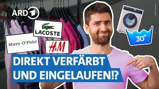 T-Shirts von Zara, H&M, Ralph Lauren, Lacoste & Co.: Ist teuer besser? I NDR Markt