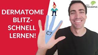 Dermatome lernen leicht gemacht (1/2) : Zervikale & thorakale Dermatome langfristig merken!