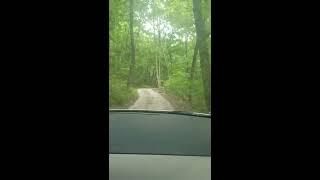 Driveway to the Hidden Hilltop Homestead