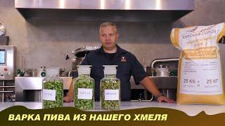 Варим HOP LAGER с собственным хмелем. Экспериментальная варка