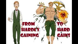 5 diet tips for hardgainers