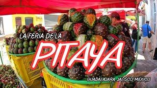 FERIA DE LA PITAYA EN LAS 9 ESQUINAS DE GUADALAJARA