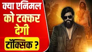 क्या Bollywood Film Animal को टक्कर देगी Toxic ? | Yash |