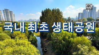 [4K] 서울 지하철로 가는 도심 속 힐링산책 | 강, 나무, 흙으로 된 산책길, 여의도 샛강 생태 공원 | Ecological Park Seoul