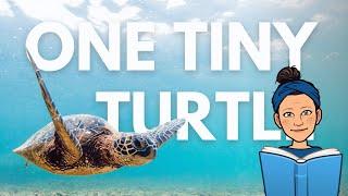 "One Tiny Turtle" Read Aloud