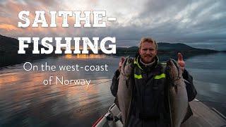 Saithe-fishing on the west coast of Norway!