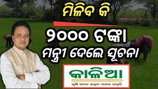 Kalia Yojana new update/Kalia Yojana money transfer date/Kalia Yojana odisha/Pm kishan yojana#kalia