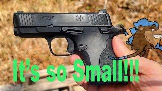 S&W CSX: Weird Hammer Fired Micro 9!