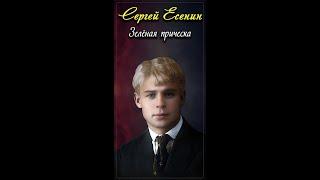 Зелёная причёска - Сергей Есенин (читает Александр Злищев) #shorts
