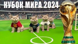 33 КОТЁНКА - АНОНС ЧЕМПИОНАТА МИРА ПО ФУТБОЛУ СРЕДИ КОТОВ КОТЯТ!