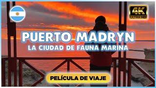 PUERTO MADRYN: La ciudad de la FAUNA MARINA - Película de viaje 4K 2022