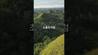 필리핀 보홀의 초콜릿 힐스 탐험하기! #필리핀여행 #보홀 #초콜릿힐스