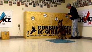 K9 "Buster" Explosives Detection Training