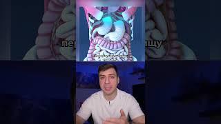 СИАМСКИЕ БЛИЗНЕЦЫ ЭББИ И БРИТАНИ ХЕНСЕЛ