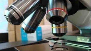 How To Use a Compound Light Microscope: Biology Lab Tutorial