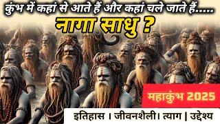 Mahakumbh 2025: kumbh मेले में नागा साधुओं का रहस्य | Naga Sadhus | History and Facts