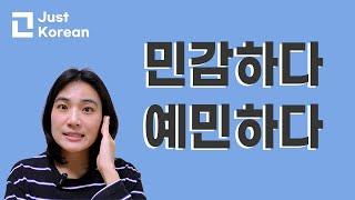 Korean vocabulary 한국어 Sensitive? 민감하다, 예민하다