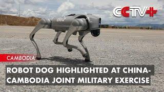 Robot Dog Highlighted at China-Cambodia Joint Military Exercise